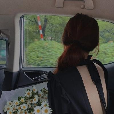 圣诞王子：皇室婚礼